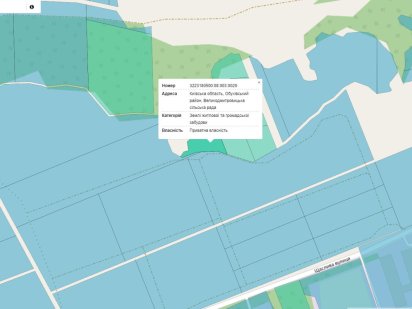 Земельна ділянка Великі Дмитровичі 0,25 га