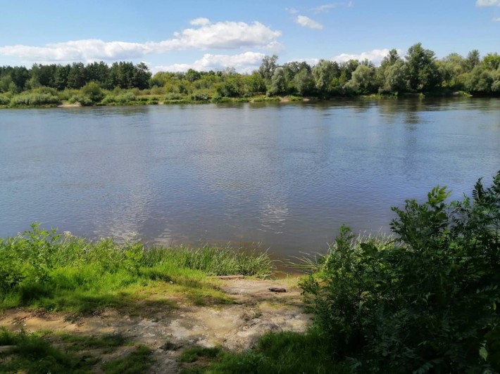 1,2 ГА під Базу відпочинку на березі р Десна -село Рожни/ Базу отдыха - фото 1