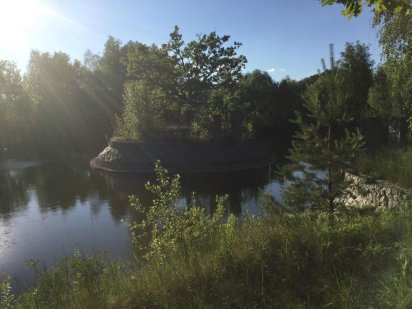 Отдам в пользование усадьбу 2Га в лесу  лес с озером в Романкове Романків