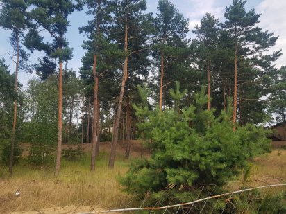 Романків. Підгірці.Кутова ділянка під житлову забудову , площа31  сотк