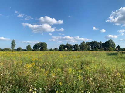 Участок 40 сот под жилую застройку, недвижимость, с. Рожны