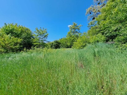 Мальовнича ділянка під горою 34сотки Великі Дмитровичи, Обухівський