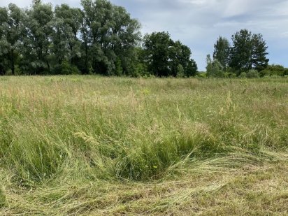 Продам ділянку 19 соток в селі Рожни . Власник.