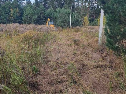 Продаж ділянки без %, з соснами, 10 соток, Рославичі-Іванковичі