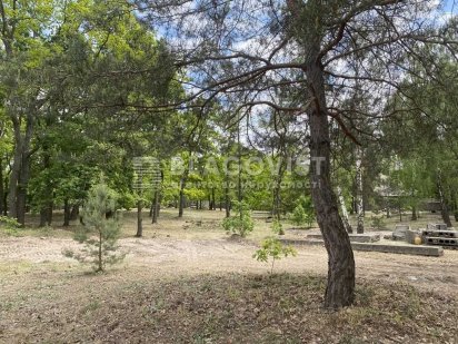 Продаж земельної ділянки з озером 200 соток Романків Сонячна Долина