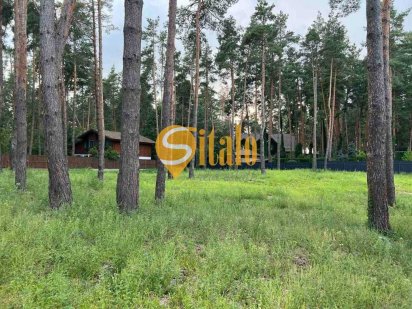 Продаж / Земля під інд. будівництво / Соснова, Романків