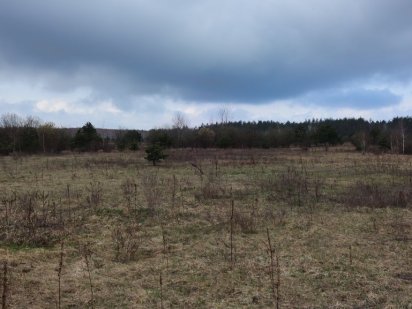 Продам дві земельні ділянки по 10 сот село Бузова Севериновка