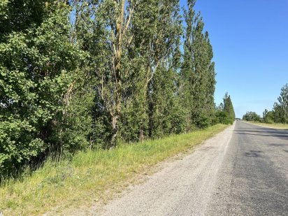 1 га под коммерцию, склады, автосервис или промышленность Рославичі