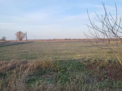 Продам земельну ділянку осг