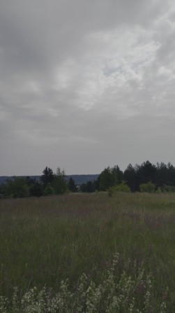 Земельна ділянка (під будівництво) в казковому місці Старі безрадичі - фото 1