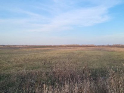 Продам земельну ділянку осг