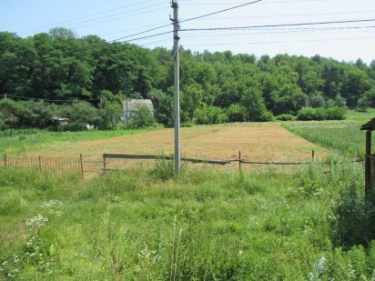 Продам участок с. Страрые Безрадичи ХОЗЯИН!!! Старі Безрадичі