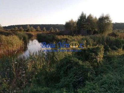 Продажа земельного участка 60 соток, Старые Безрадичи