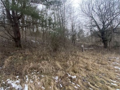 Ділянка 8 га с. Старі Безрадичі, Капустяна