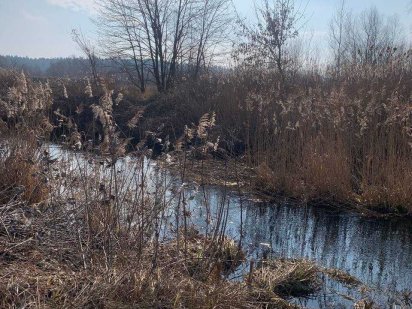 Продаж Ділянки Старі Безрадичі, під котеджне містечко , Стугна без % Старые Безрадичи