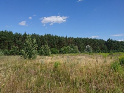 Земельна ділянка, участок. Старые Петровцы