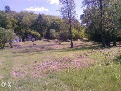 Продам ділянку  в с. Старі Безрадичі Старі Безрадичі