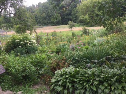 Срочно продам земельный участок площадью 45соток