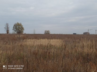 18 соток в Старьіх Петровцах 500у.е.сотка Старые Петровцы