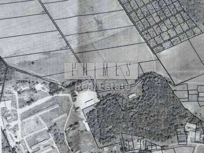 Продаж / Земля під сад, город [1.4 г.а]  Старі Безрадичі Старі Безрадичі