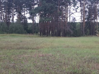 222 сотки в окружении леса Старі Петрівці