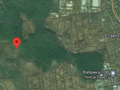 Старі Петрівці 36 соток межують з лісом