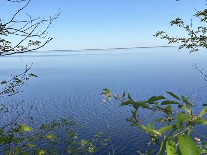 Продам участок в с Старые Петровцы Старые Петровцы