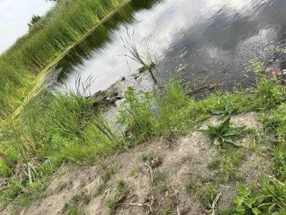 Земельна ділянка 22 сотки в Таценках на березі Стугни біля р. Дніпро.