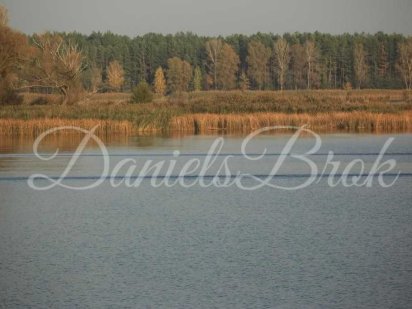 2 га с выходом на Днепр Таценки