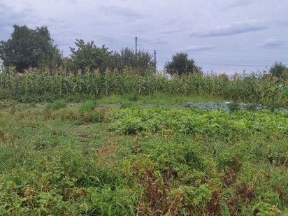 Продаю земельну ділянку у Фурсах