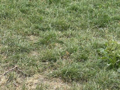 Змельна ділянка с.Фурси Фурси