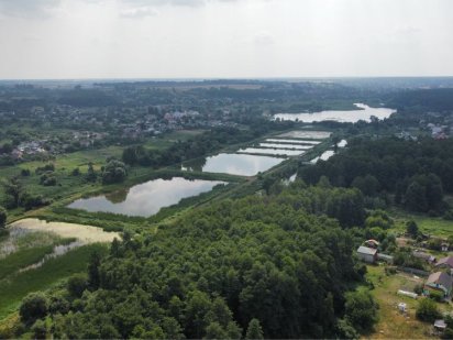 Шикарное предложение в лесу Хлепча