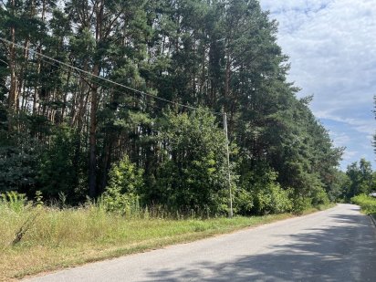 1га соснового лісу під буд-во с.Хлепча Хлепча