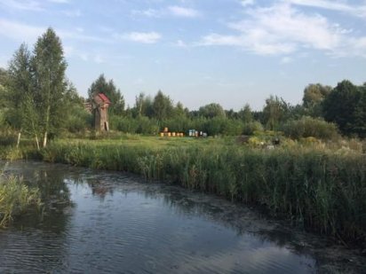 Продам землю(85соток)на берегу Стугны в Хлепче