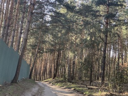 Участок в сосновом лесу 2-я линия от р.Стугна