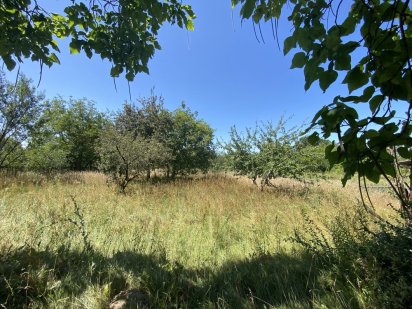 Хлепча вул. Молодіжна 20 соток Хлепча