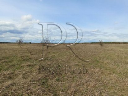 Продаж ділянки 65 соток Вишгородський р-н,між Хотянівкою та Лебедівкою