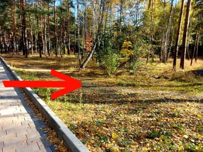 м.Вишород продам -43сот- з лісом та виходом на канал.