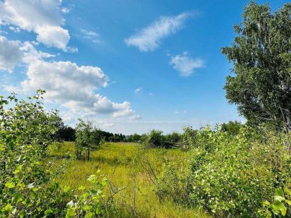 Земельна ділянка.  с. Шевченкове.  5 соток.