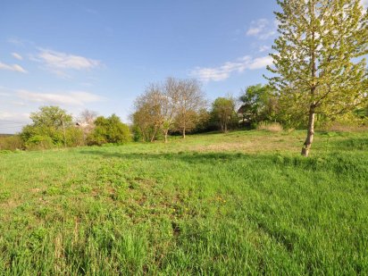 Ділянка на височині з панорамним краєвидом в с. Шкарівка Шкарівка