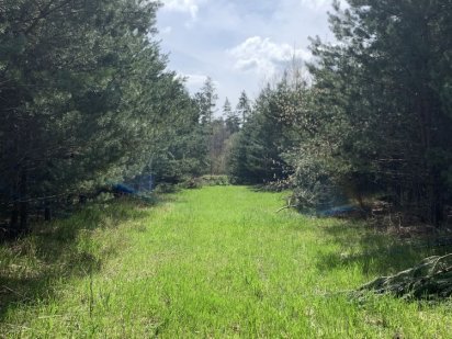 Продам Земельные участки 10 соток, ЖК Ясный, с.Ясногородка 30кмКиев