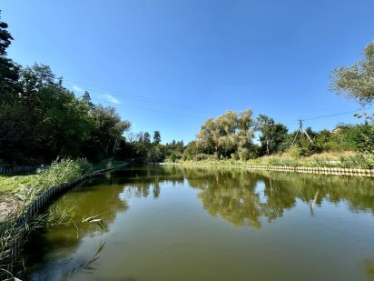 Ділянка 8 соток з Електрикою та Комунікаціями біля Лісу та Озера Шпитьки