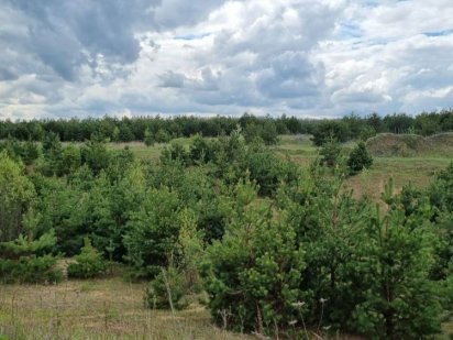 Продам участок в Ясногородке Ясногородка