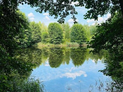 Земельна ділянка.  Ясногородка.  35 соток. Ясногородка