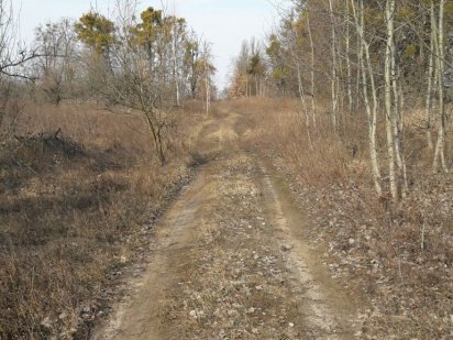 Продам земельні ділянки ОСГ Шпитьки