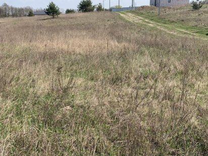 Продам земельну ділянку в с. Шпитьки