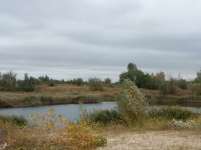 Земельна ділянка 28,95 сотки під забудову Шпитьки/Мрія