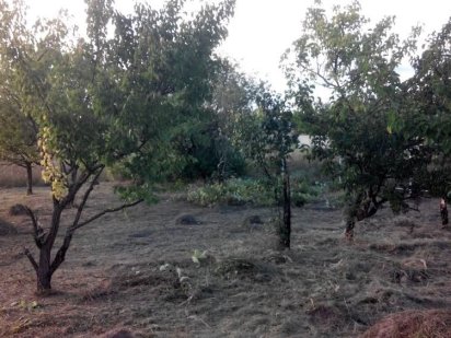 Продам участок под засройку с.Ясногородка, Макаровский р-н Ясногородка