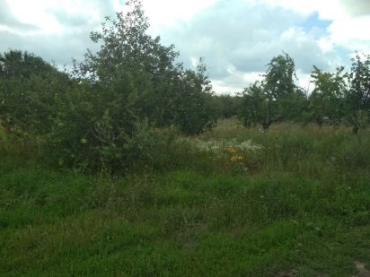 Земельна ділянка 10 соток Ясногородка, Фастівський земля під Києвом