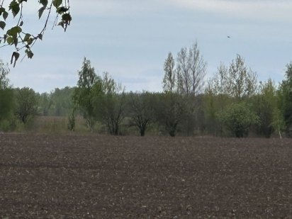 4 га Добропарк, сімейний екопарк Ясногородка Ясногородка